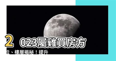 2023屬雞買房方位|2023年 12生肖購屋運勢